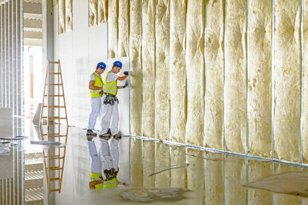 Best Eco-Friendly Insulation in Frazer, PA